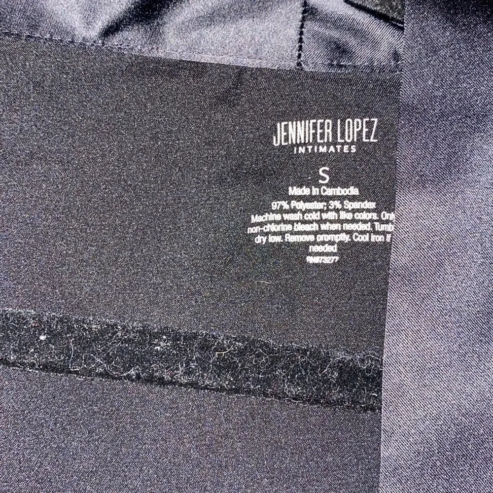 Jennifer Lopez Robe - Image 2