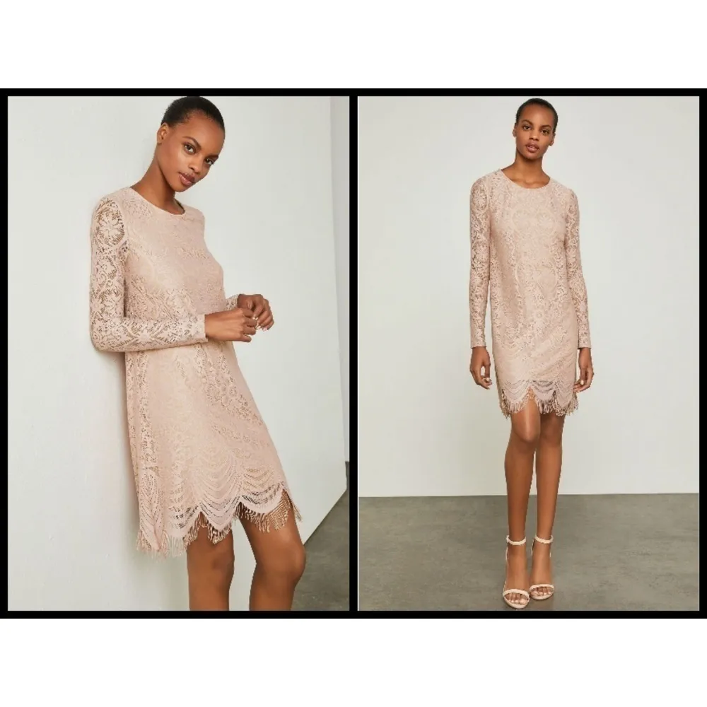 💕BCBGMAXAZRIA💕 Marae Lace A-Line Dress - Image 3