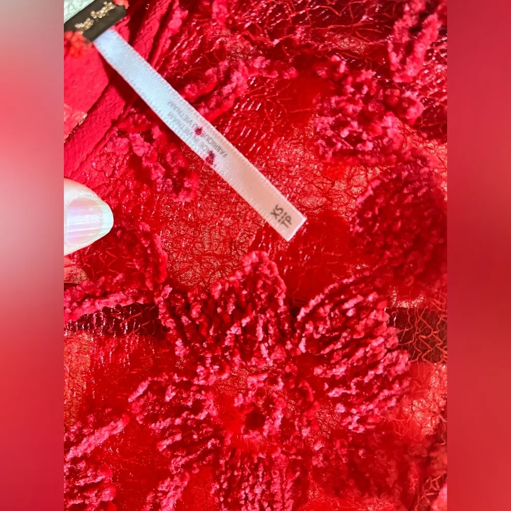 Free People Dress NWT-retails $198, Elegant Mini Red Lace, Flowy, oversized - Image 3