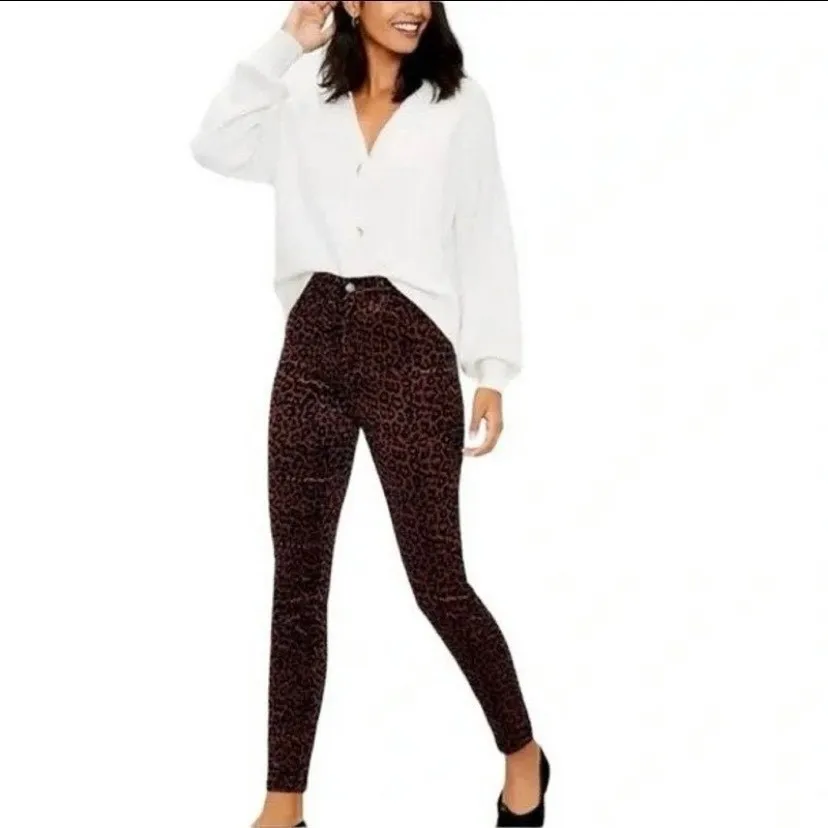 Ann Taylor LOFT Super Skinny Velvet Cheetah print pants 30/10P - Image 2