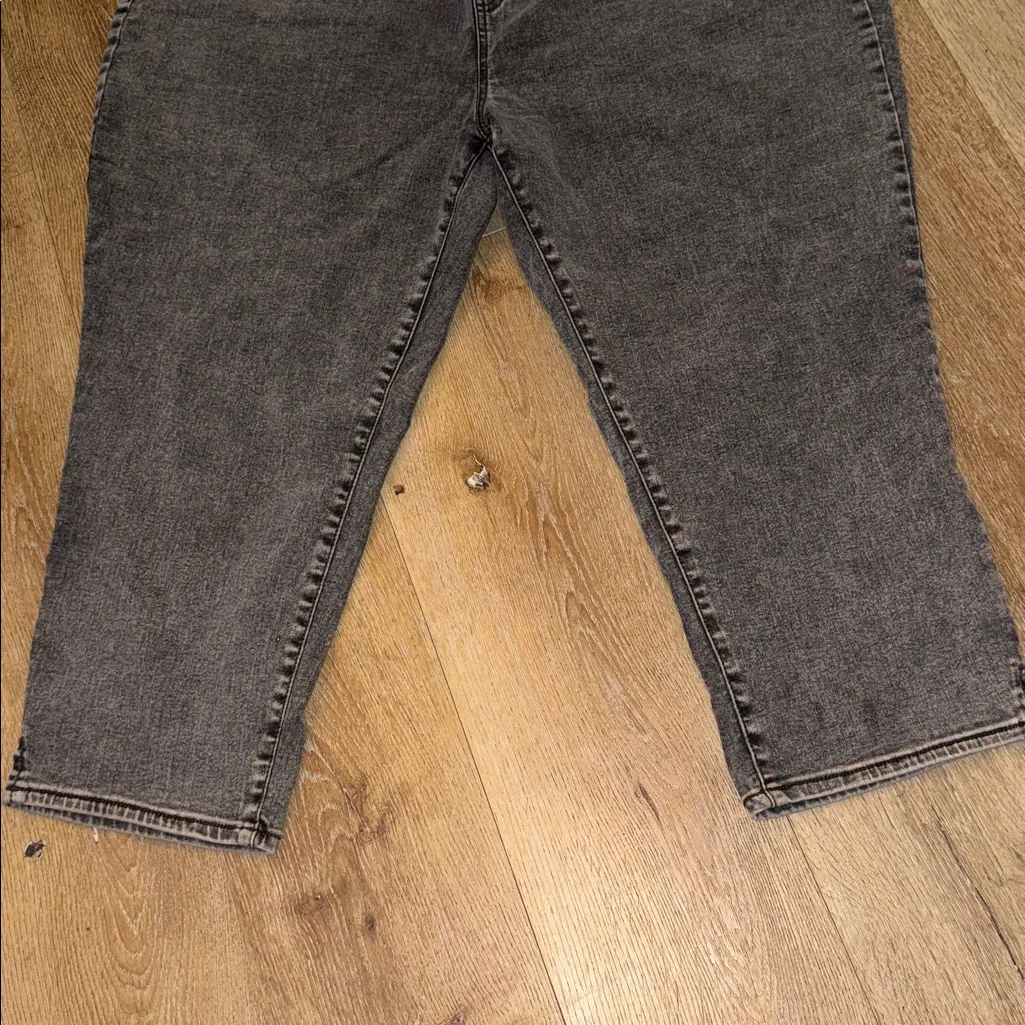 Terra & Sky Charcoal Denim Pants - Image 2