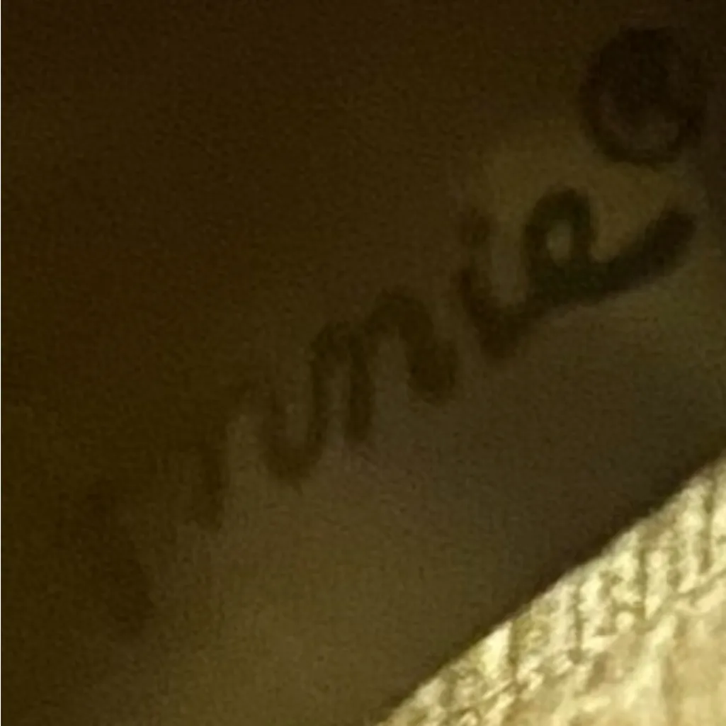 Annie Griffin Annie Leopard Print Heeled Boots with Black Straps - Image 7