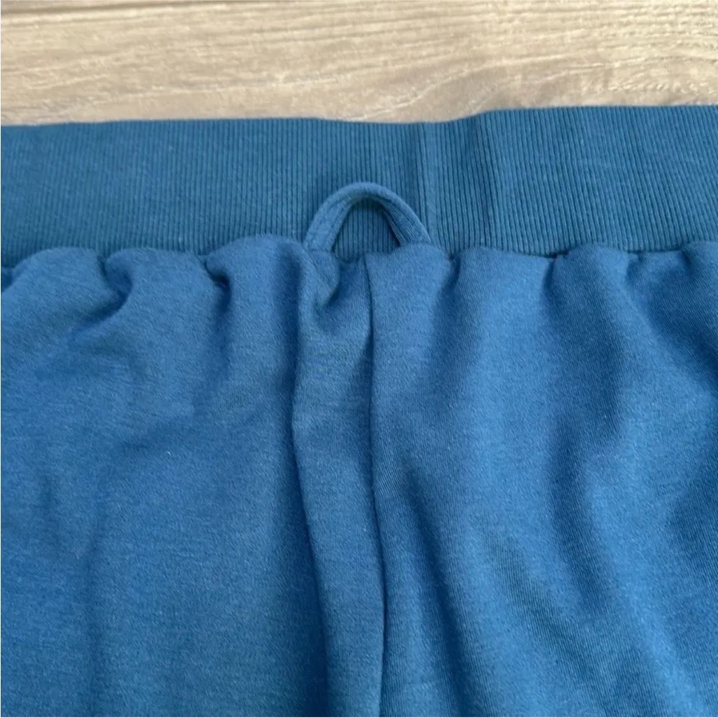 Fabletics Nova Puffer Jogger High Rise Blue Size 3X - Image 4