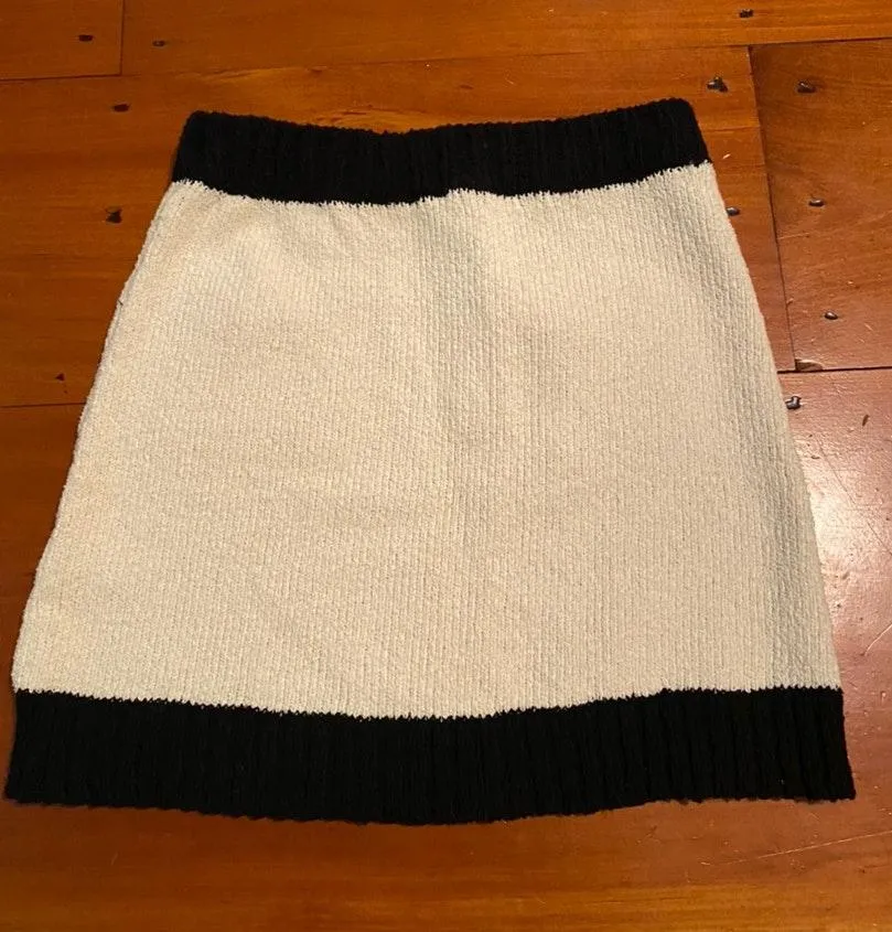 ZARA Skirt - Image 2