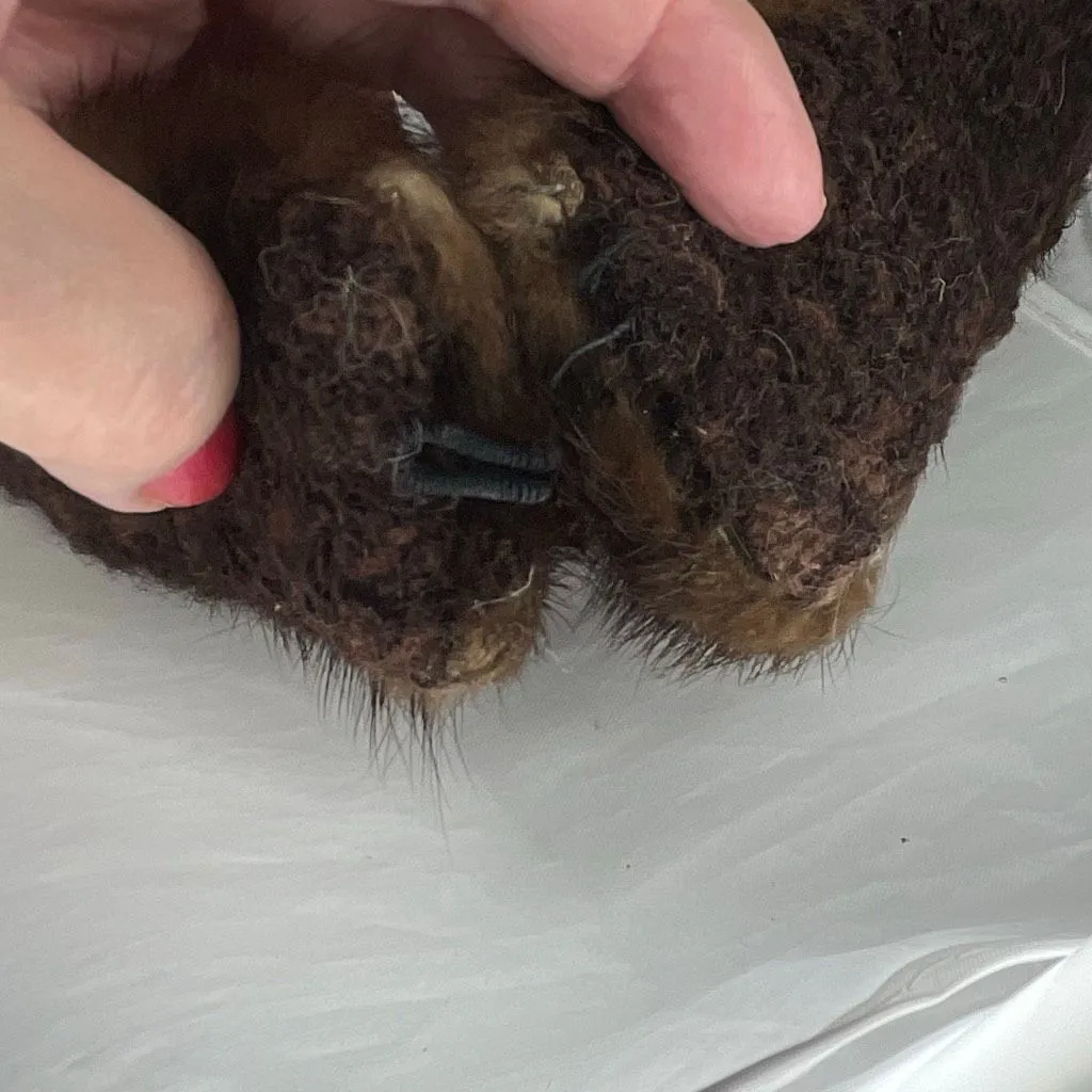 Vintage brown mink collar with hook closure - Image 5