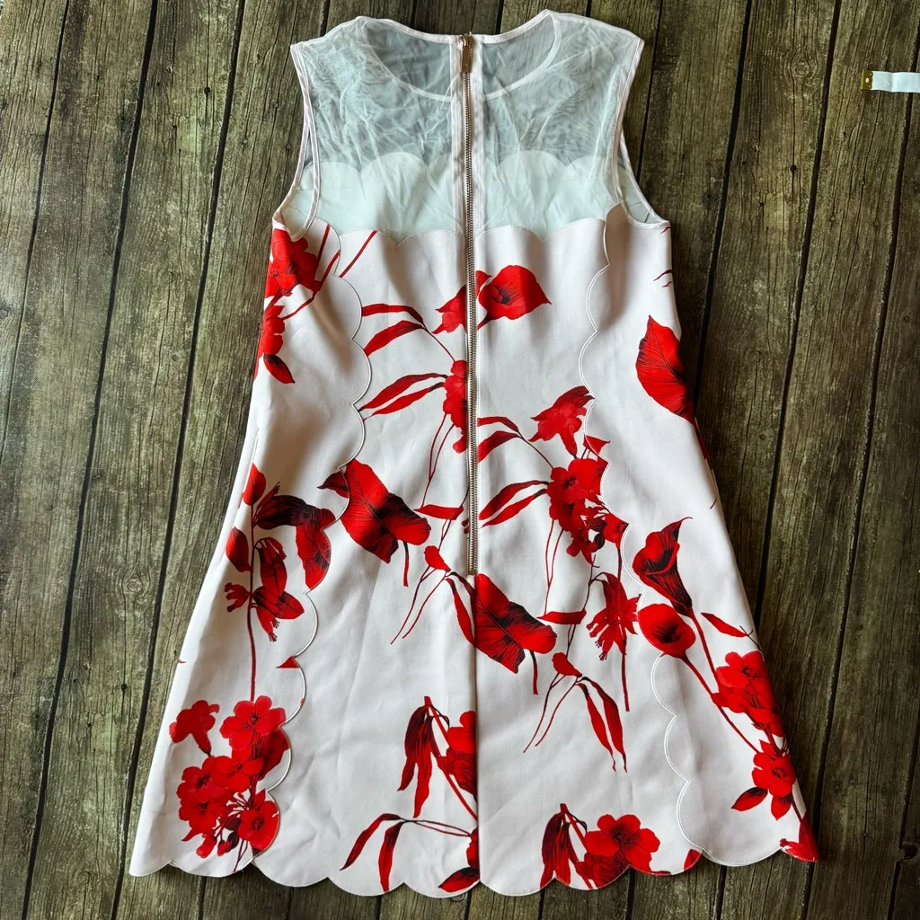 🌹 Ted Baker London “Jaazmin” Fantasia Scallop Hem Floral Dress Size 2 (US 6) - Image 7