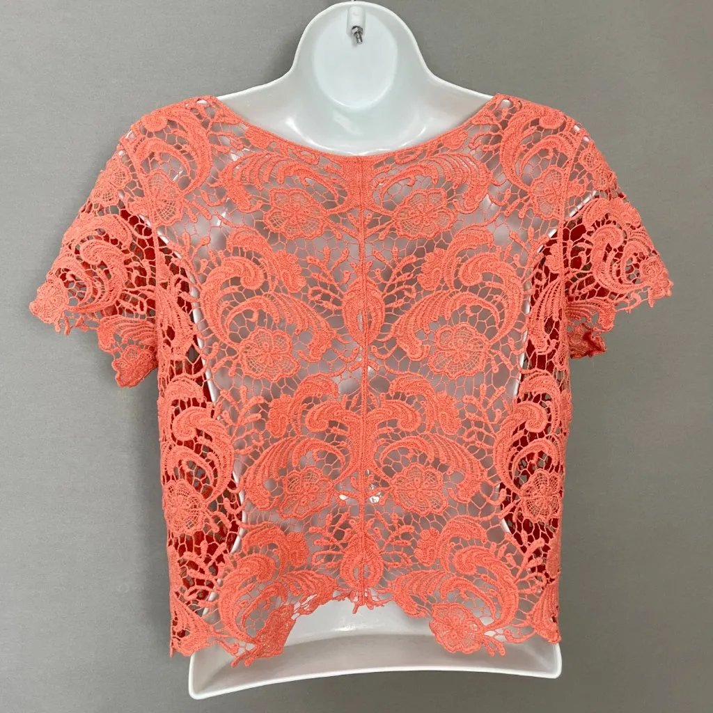 Lace Crop Top Peach Pink‎ Short Sleeves Women Scalloped Delicate Overlayer Piece Pink - Image 13