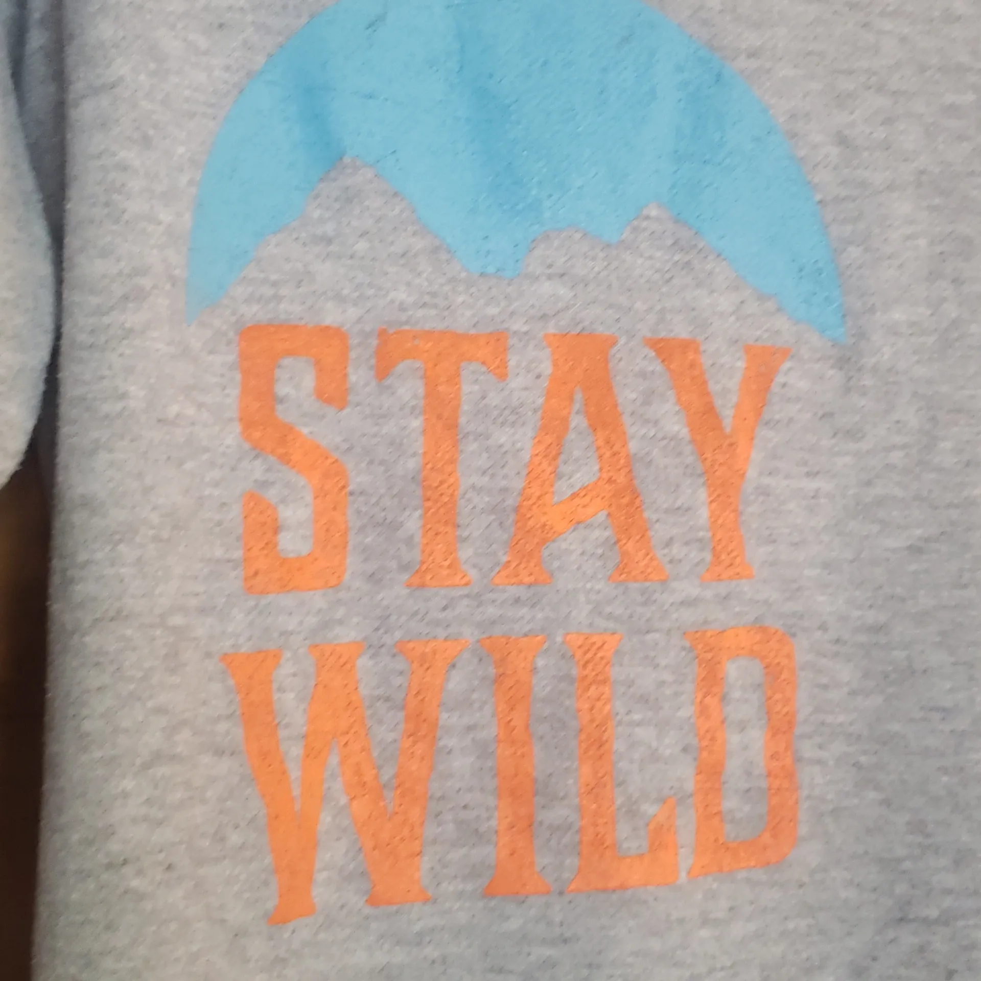 Zutter "Stay wild "terry pullover hoodie Gray - Image 3
