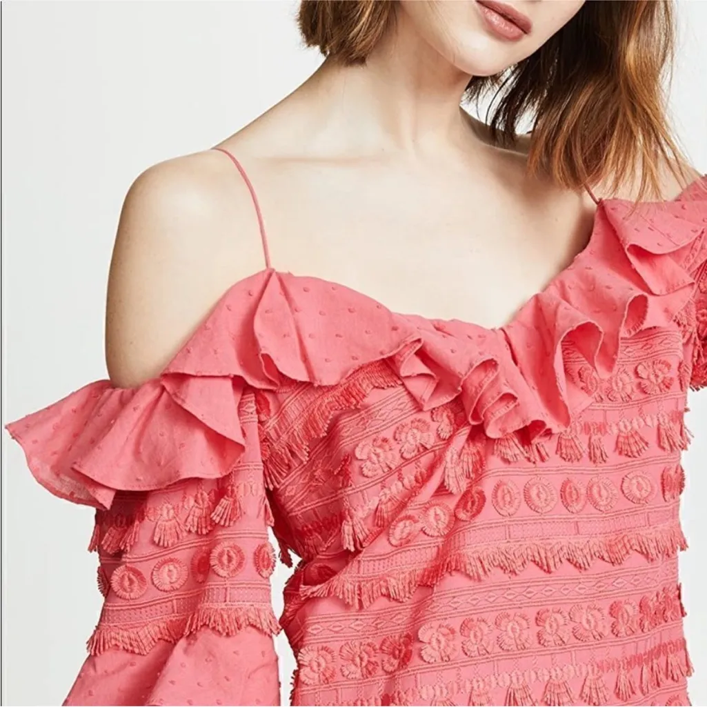 ALEXIS Calypso Ruffled Embroidered Fringe Party Dress in Rouge - Image 4