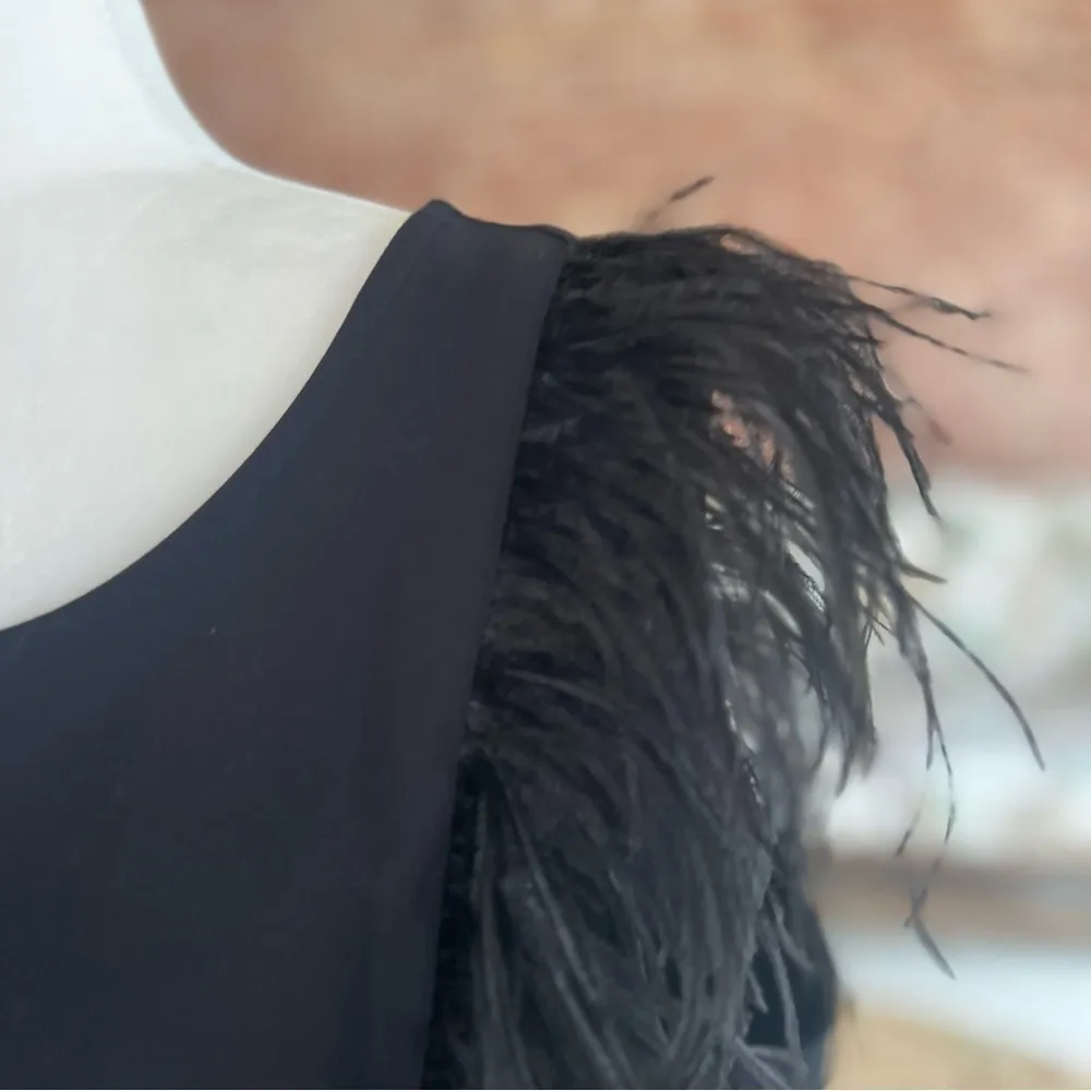 Eva Franco Anthropologie Romana Top
Feathered Black 3X Cocktail Glam Evening Mod - Image 5