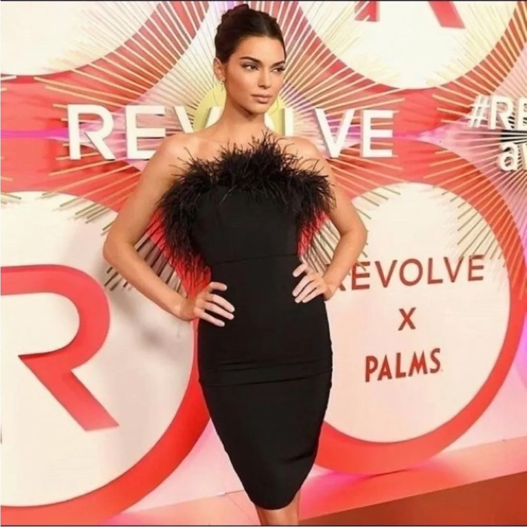 NWT LPA Revolve Aurora Black Feather Trim Strapless Dress Cocktail Party Size XS - Image 4