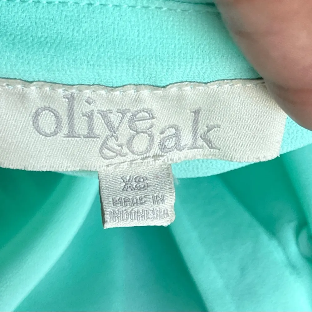 OLIVE & OAK | Seafoam Green Sheer Sleeveless Accordion Pleated Blouse Sz XS - Image 5