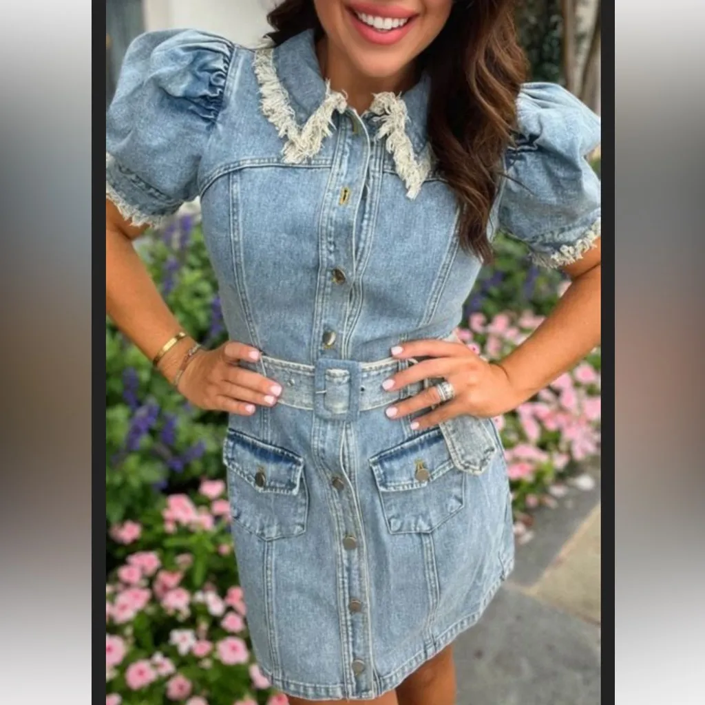 NWT Elliatt Giselle Denim Day Dress Button Front Belt Frayed Size Small - Image 3