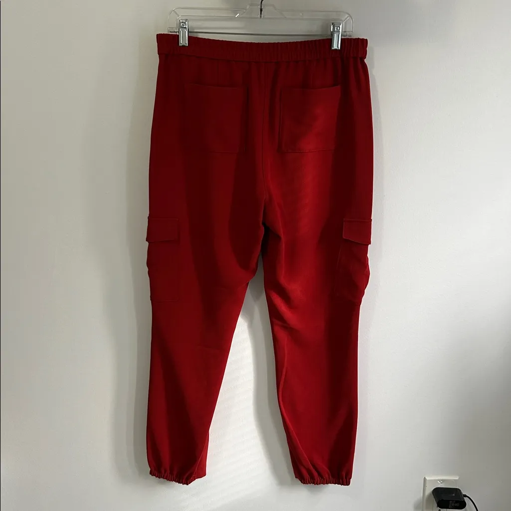 Theory Northsound Solid Cargo Joggers - Image 6