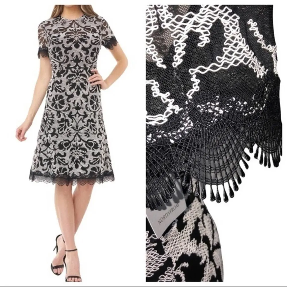 JS Collections Embroidered Lace Scalloped Trim Cocktail Dress Size 2 NWOT - Image 3