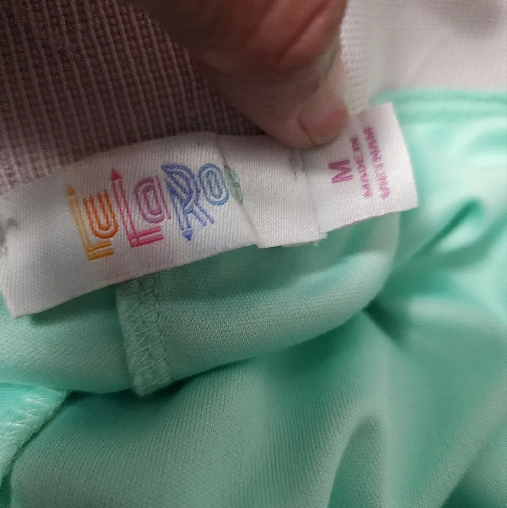 Lularoe Lucy mint pink chiffon maxi skirt size medium (8-10) - Image 6