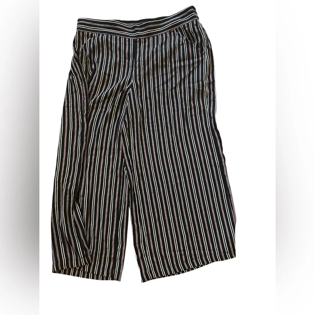 Max studio striped cropped pants NWOT - Image 5