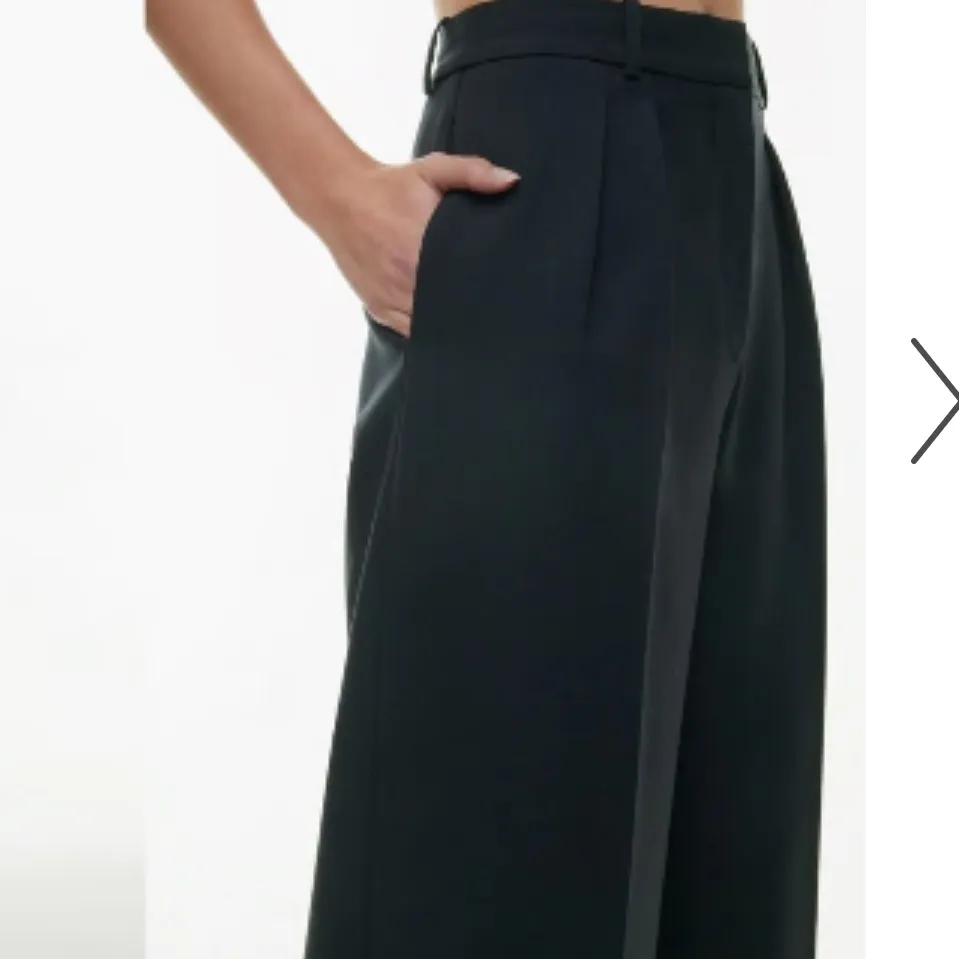 Babaton Aritizia Founder Black High Rise Pleated Wide Leg Pants - Image 4