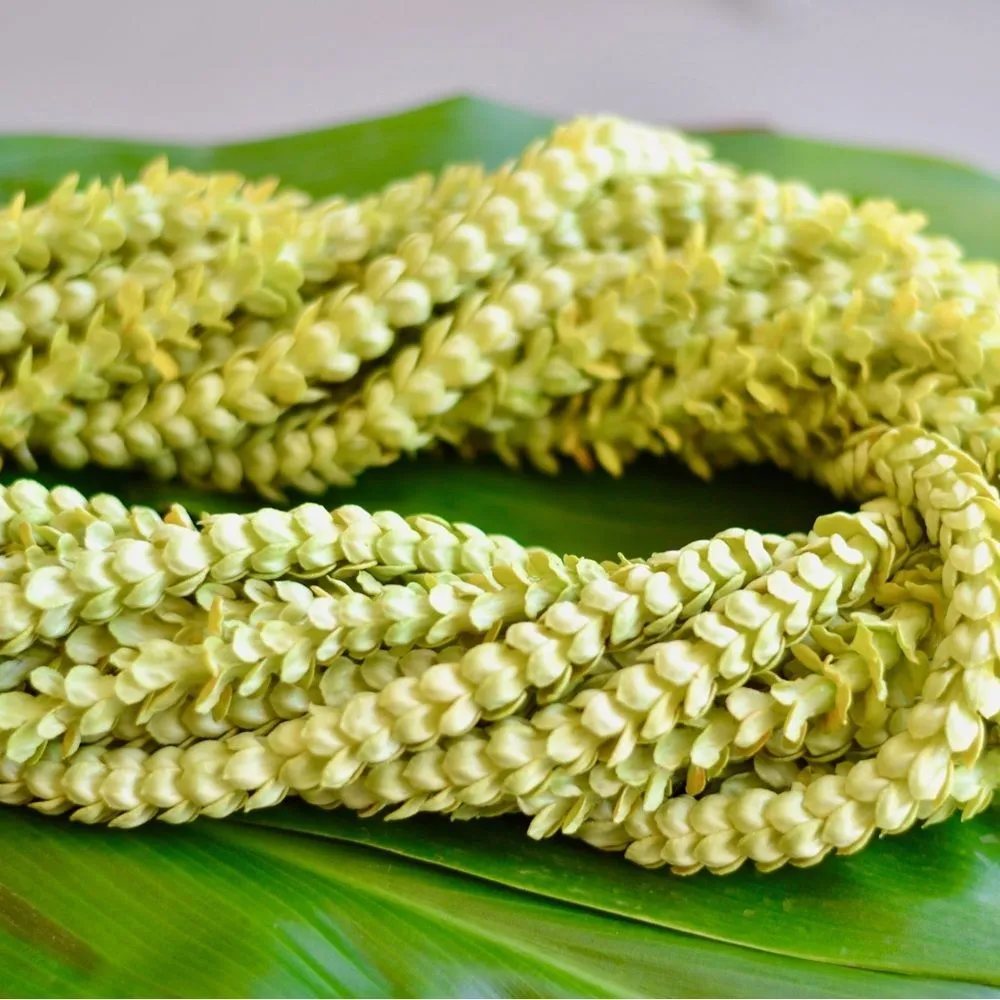 Handmade Pikake Mother of Pearl Pakalana Floral Pineapple Beaded Bracelet - Image 2