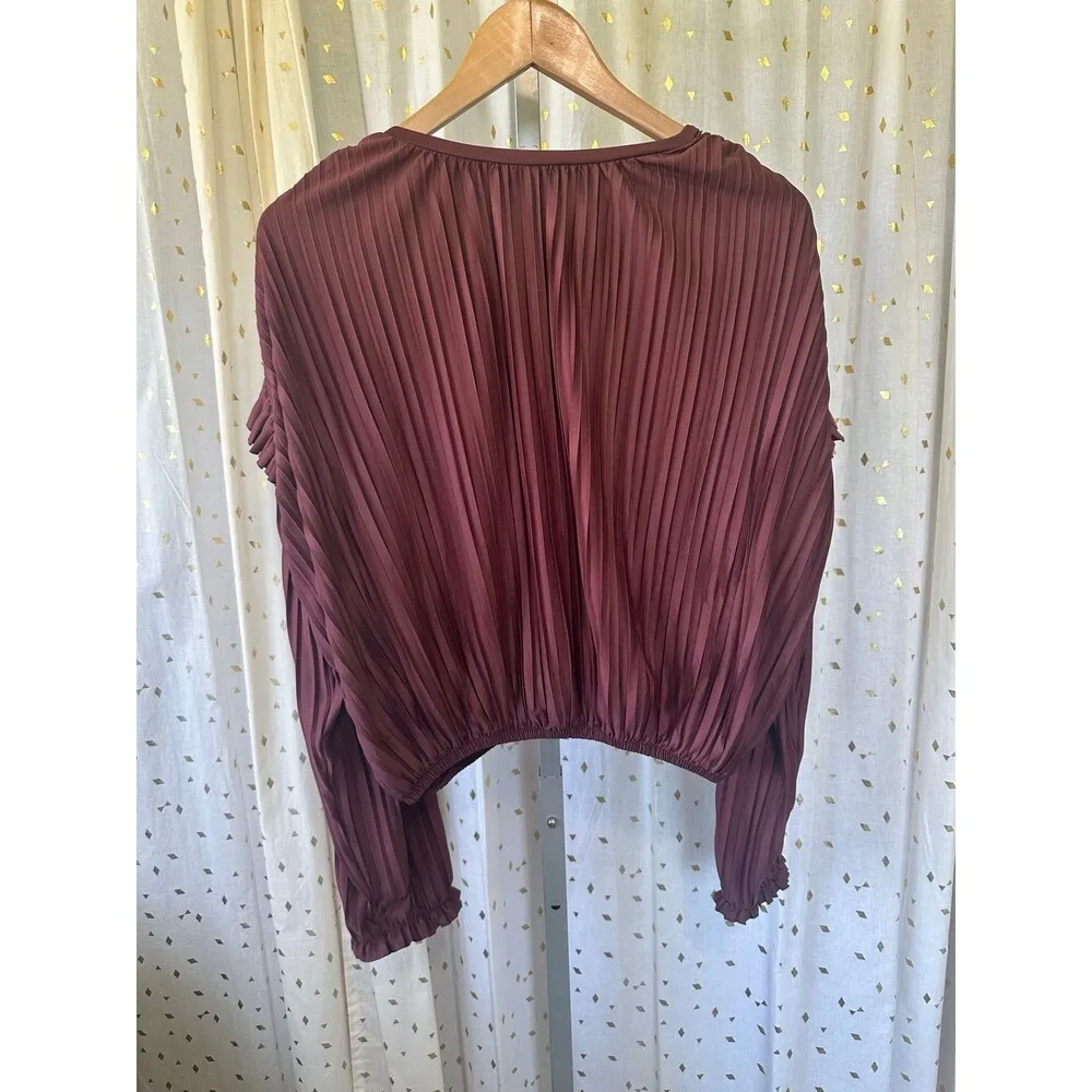 Zara Women's Slight Sheen Accordion Pleated Ruffle Elastic Waist V-Neck Top M - Image 6