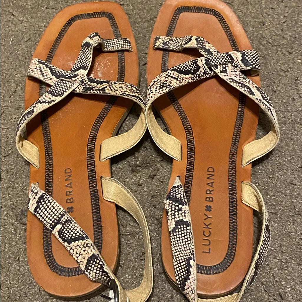 Womens Lucky Brand Faux Snakeskin‎ Leather Strappy Flat Sandals Size 7.5 - Image 2