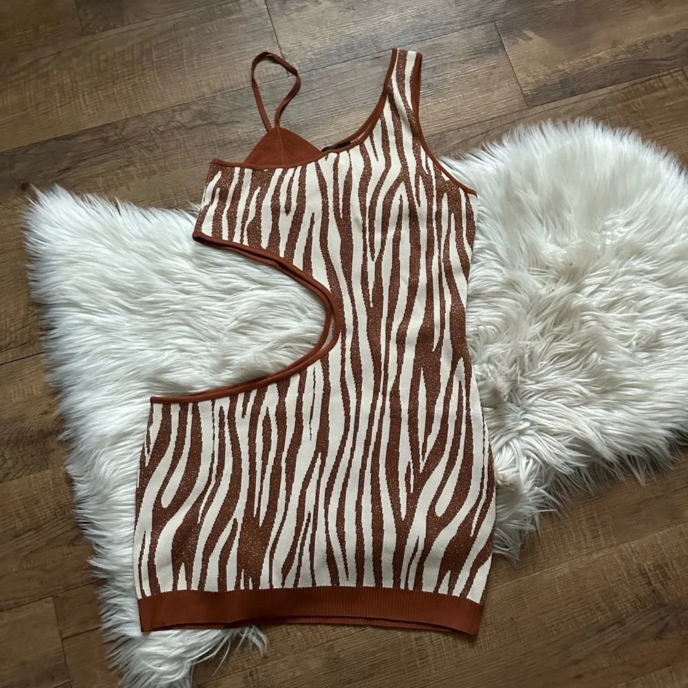 RETROFETE Dimi Dress In Brown Zebra - Image 12