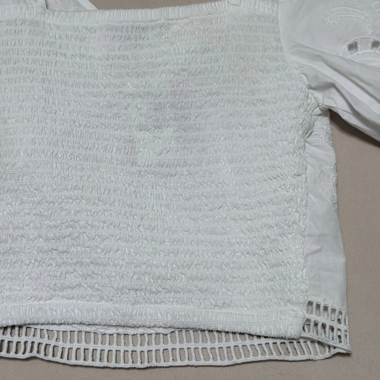 Express Embroidered Puff Sleeve Crop Top XS V-Neck Boho Eyelet Peasant Blouse - Image 11