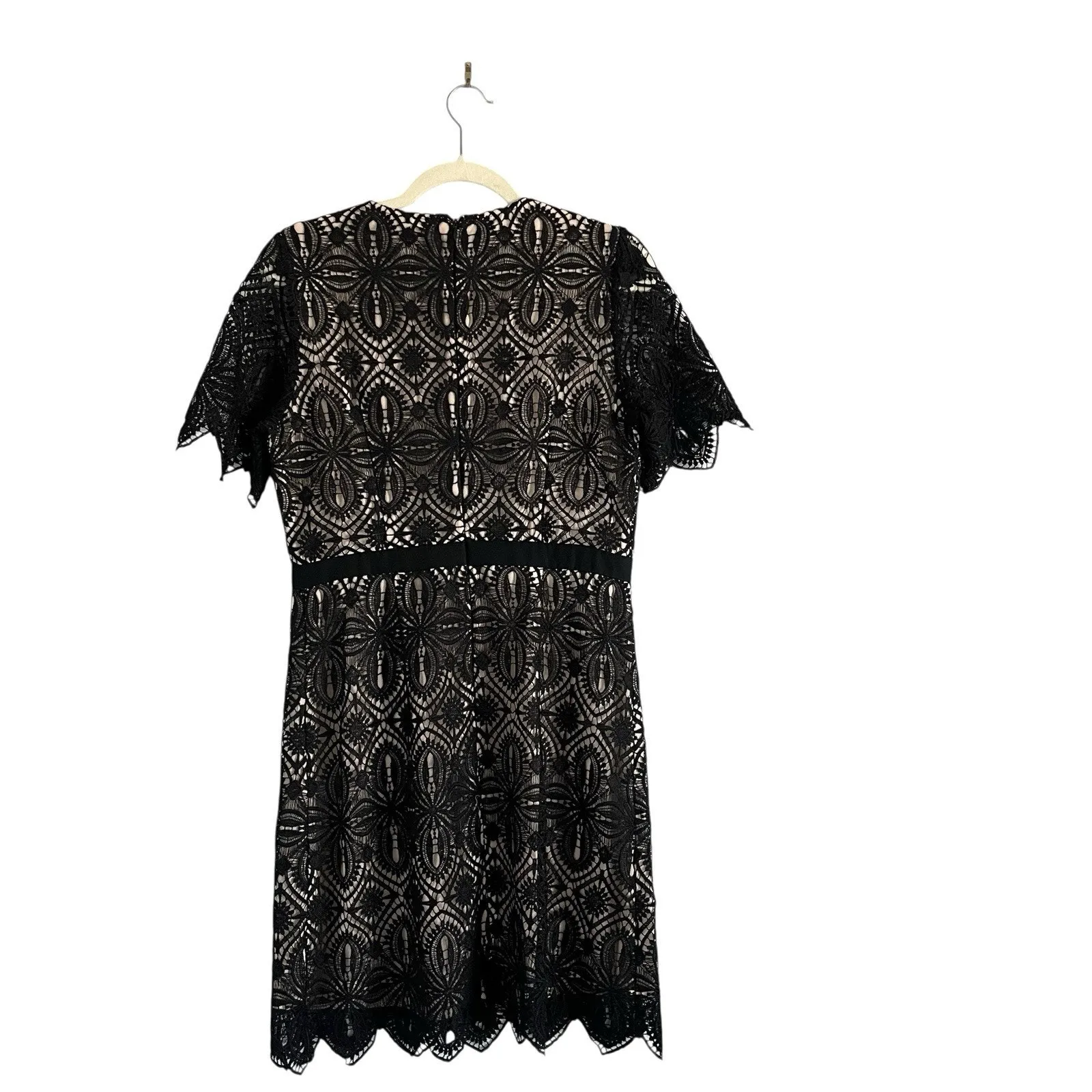 Chelsea 28 Pencil lace Mini dress black nude Feminine Romantic Cocktail Sz L - Image 4