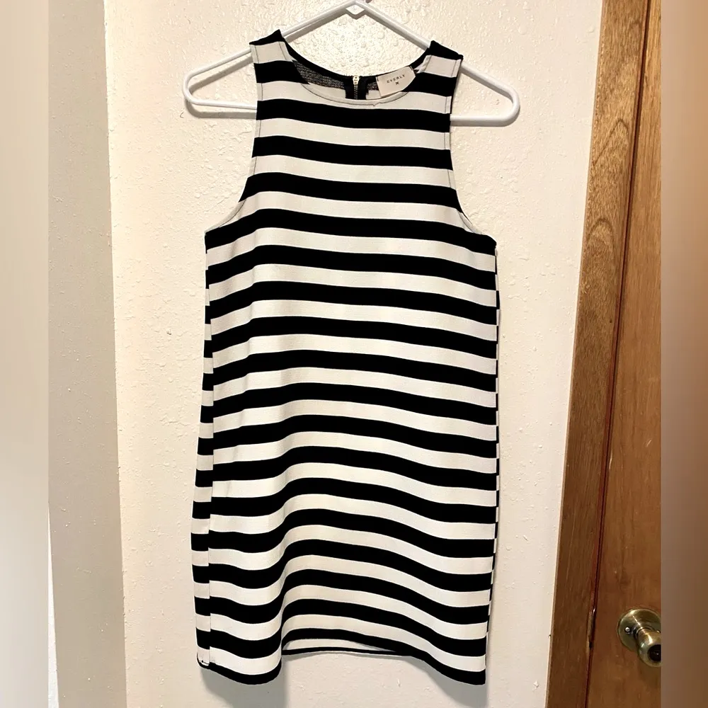 Everly Black/White Sleeveless Striped Shift Dress - Image 3