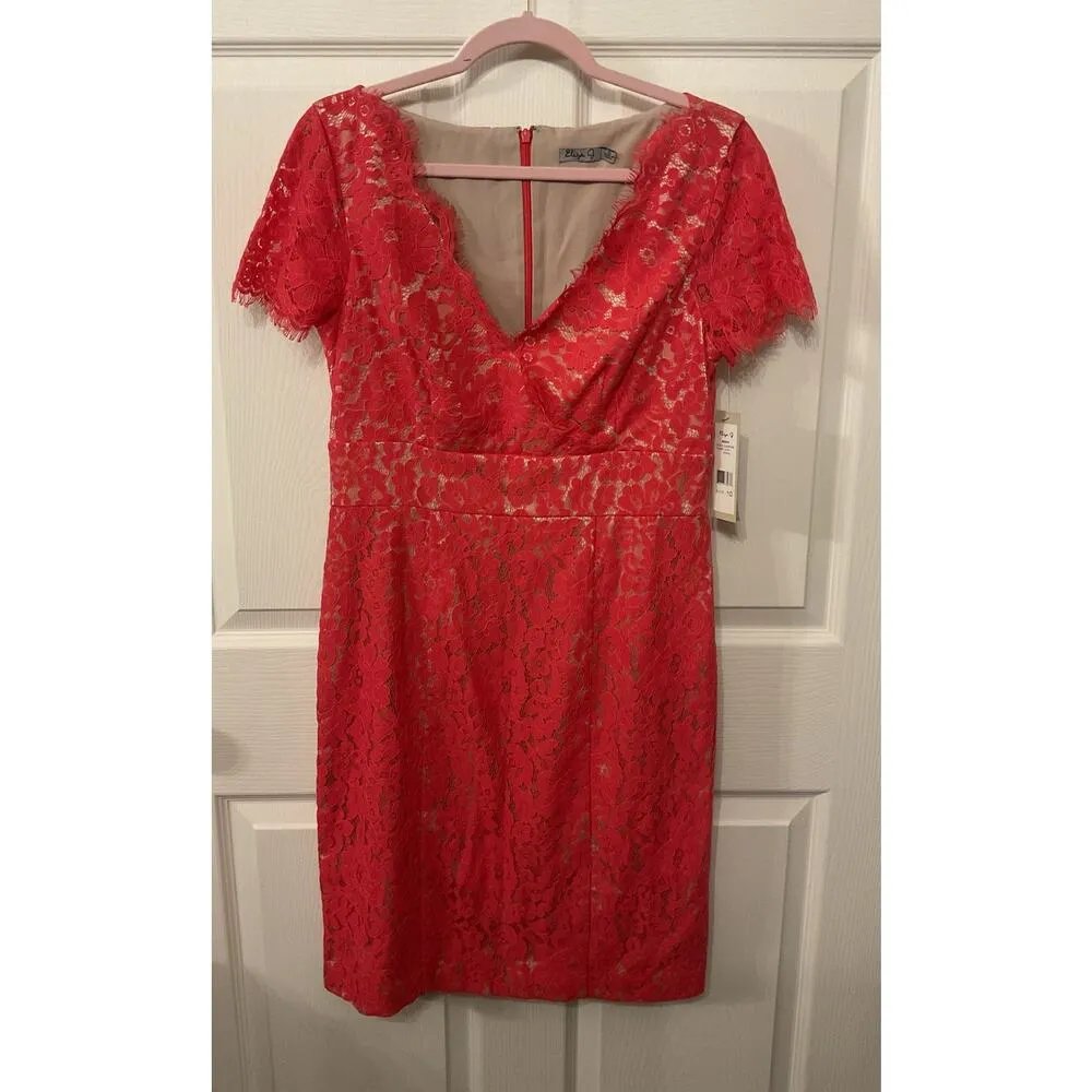 NWT Eliza J Coral Lace Cap Sleeve Surplice Neck Sheath Dress, sz 10 - Image 3