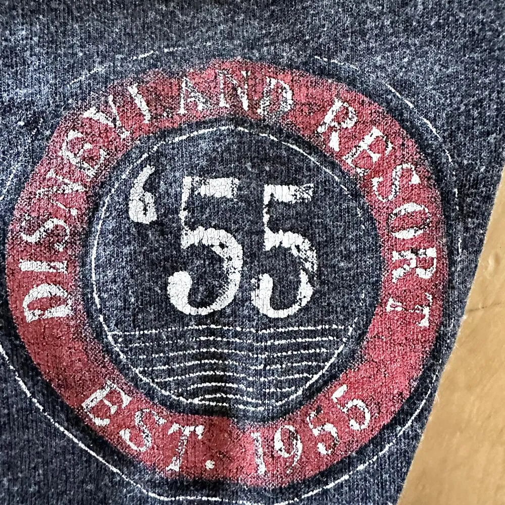 Disney Parks Disneyland 55 Hoodie Sweatshirt Mickey Graphic Long Gray Large - Image 2