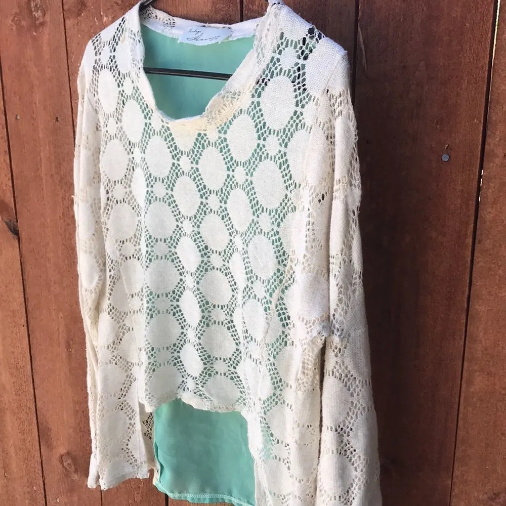 Vintage Havana Sheer Blouse‎ - Image 4