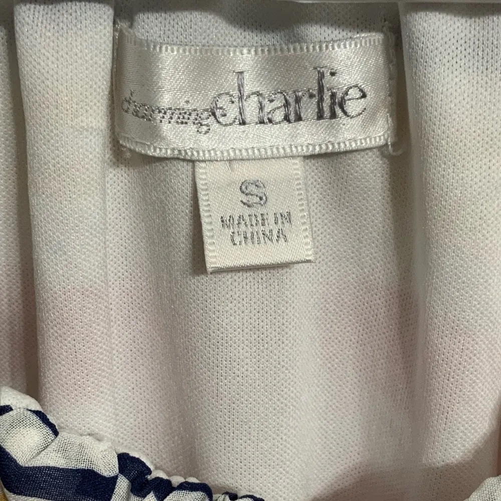 Charming Charlie Dress Size Small - Image 3