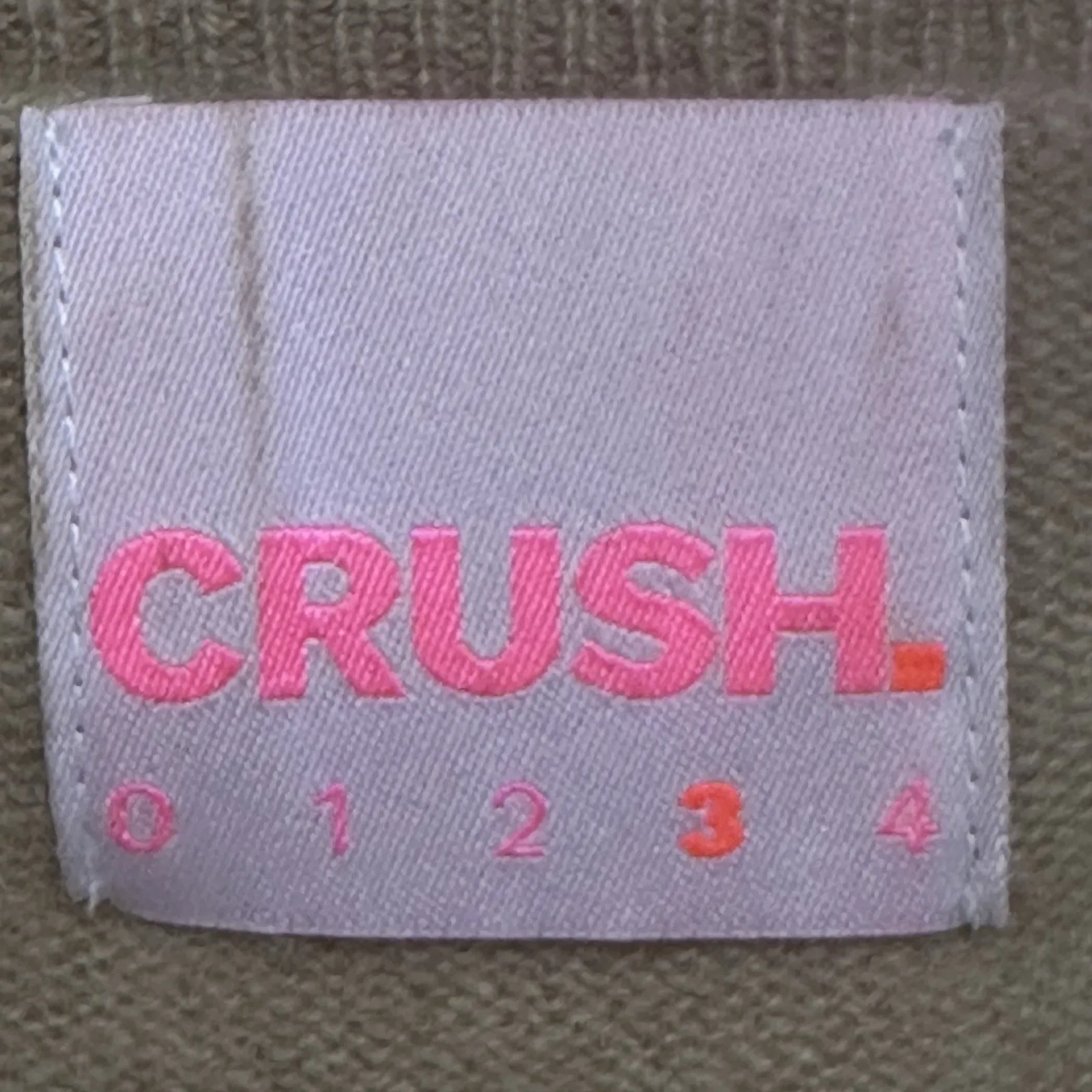 CRUSH Luxe Plush Ultra Soft 100% Cashmere V Neck Cozy Sweater Sz 3 Large Tan - Image 6