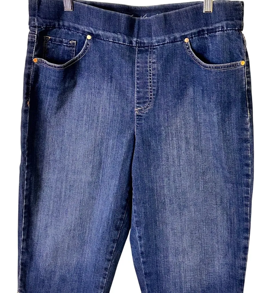 Gloria Vanderbilt 14 Avery Skimmer Denim Jeggings Stretch Bermuda Slim Fit - Image 1
