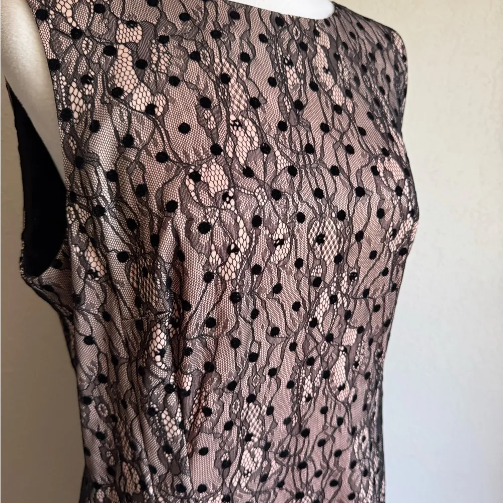 JW Jason Wu Pale Pink Black Lace Sheath Dress Womens L Whimsigoth Formal - Image 2
