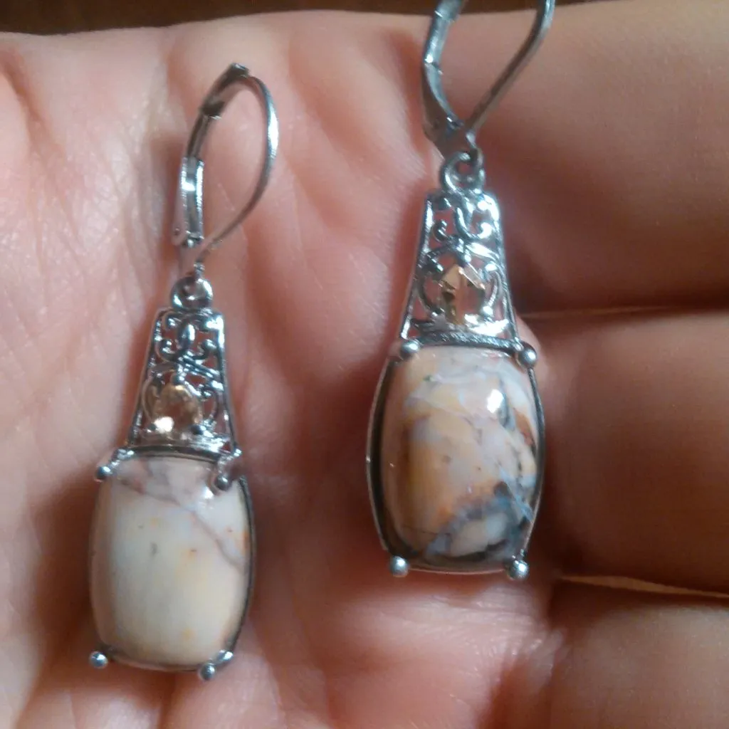 Cherry Creek Jasper and Brazilian Citrine Platinum Bond Lever Back Earrings - Image 12