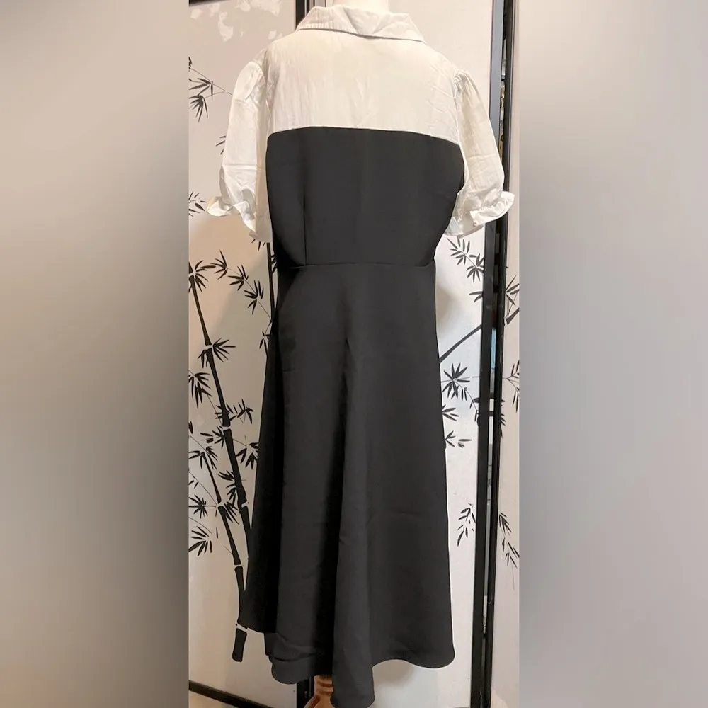 Dushu Mock Two - Image 5