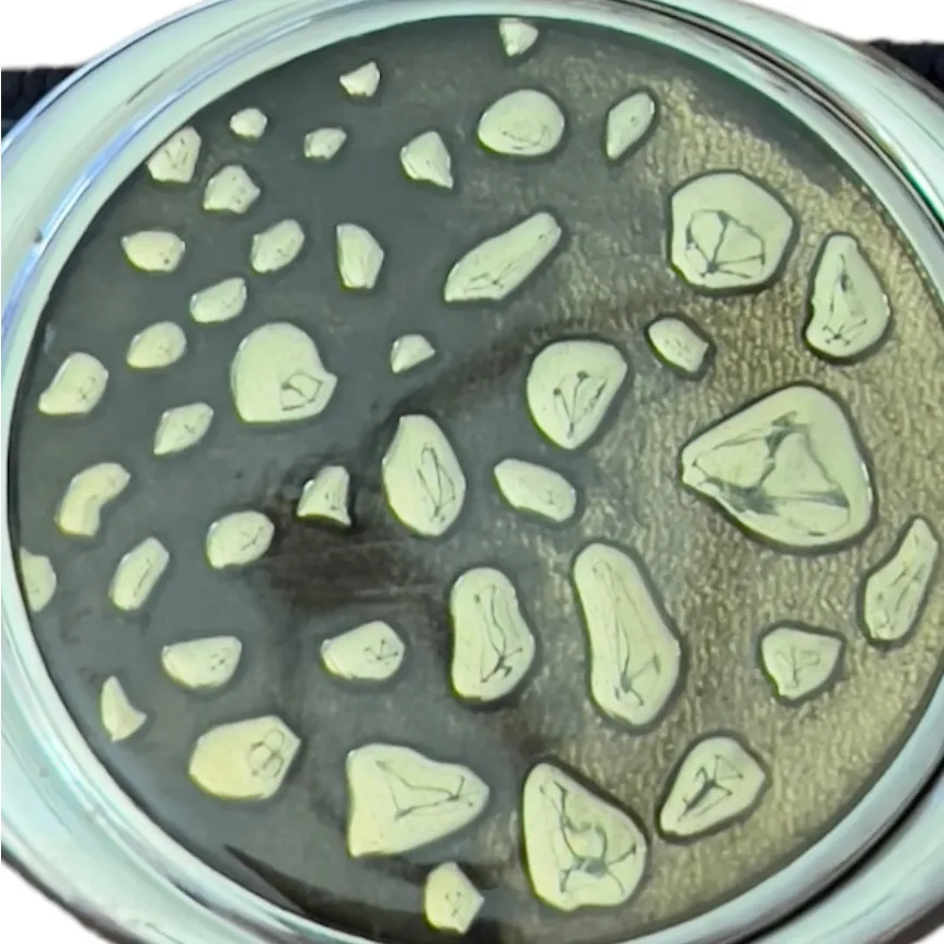 Vintage Black Elastic Belt‎ - Image 2