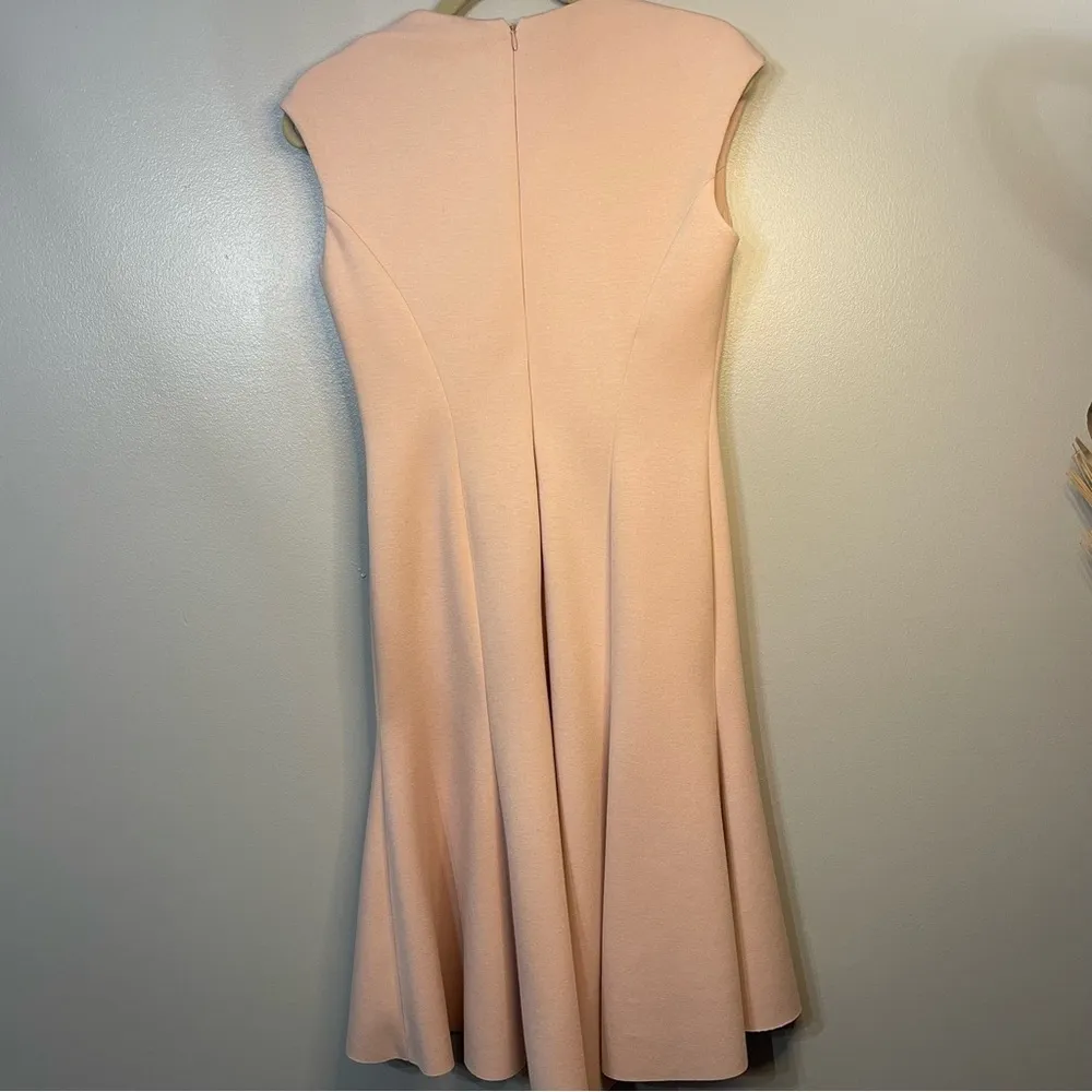 Elie Tahari Soft Pink Moriah A-line dress Size 4 - Image 6