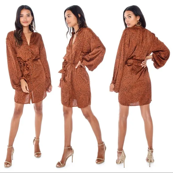 Bishop+Young Naomi Belted Cheetah Print Dress NWT - Image 2