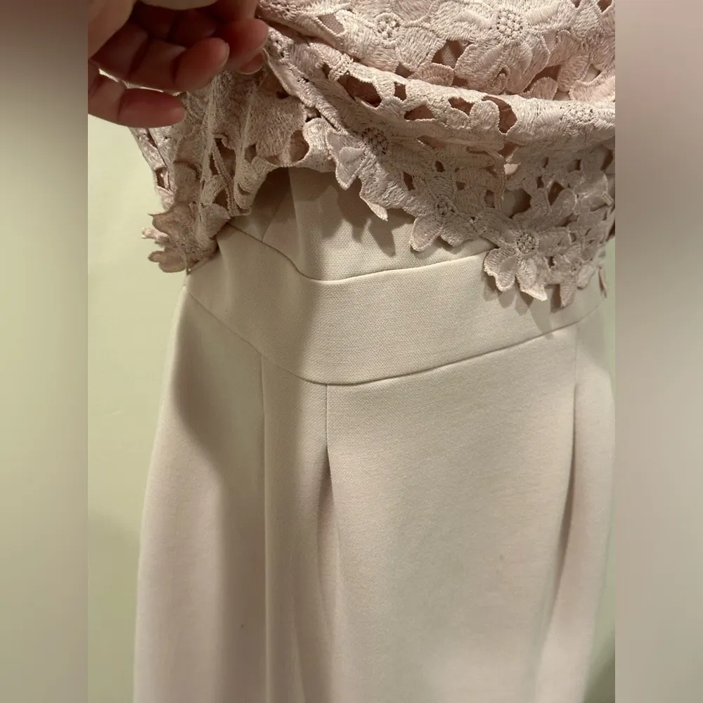 Tahari Arthur S Levine Light Pink Midi Pleated Dress Floral Lace Embroidered Sz4 - Image 3