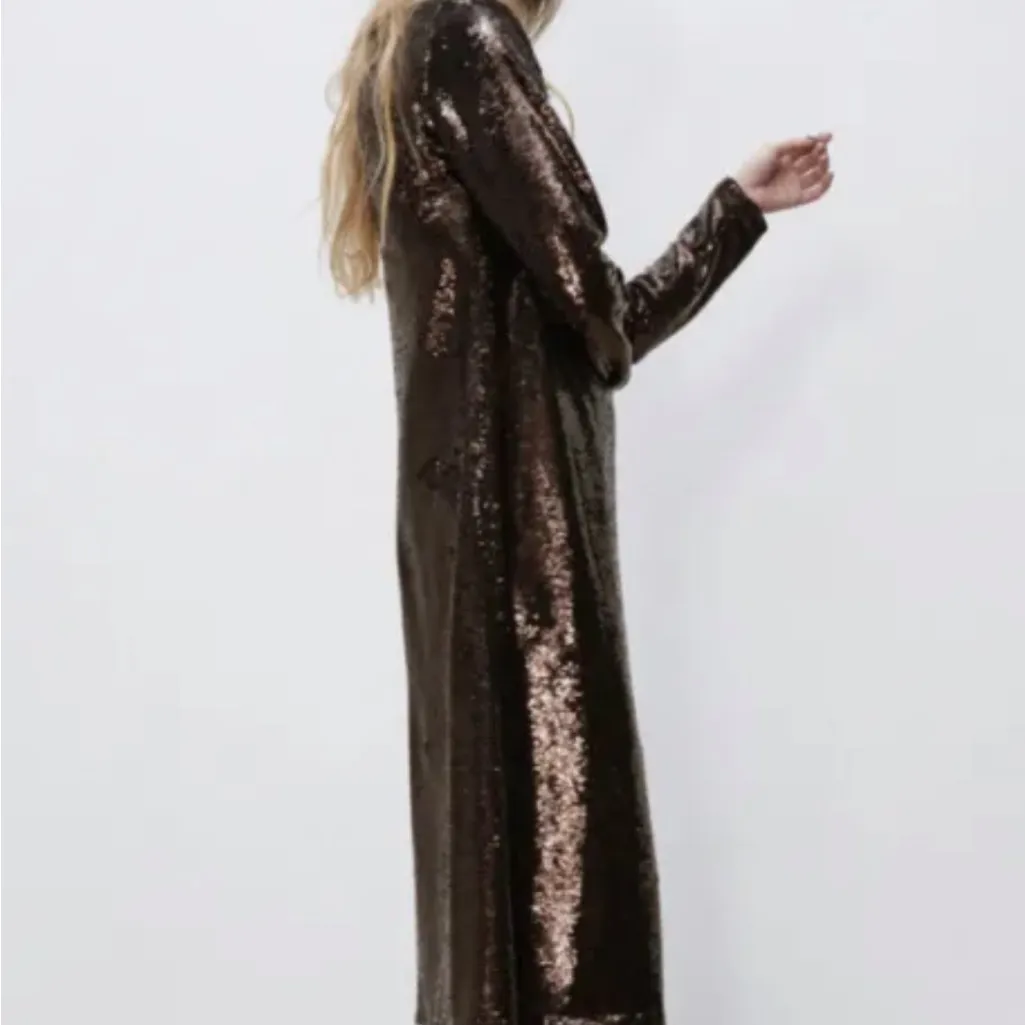 NWT ZARA BLOGGERS FAV LIMITED EDITION  ALL OVER SEQUINS MIDI DRESS - Image 9