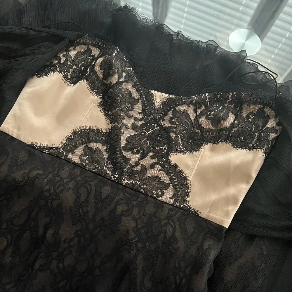 Glenda Dress (100% Silk) Black Chiffon & Lace, Size 8 New w/Tag $698 - Image 9