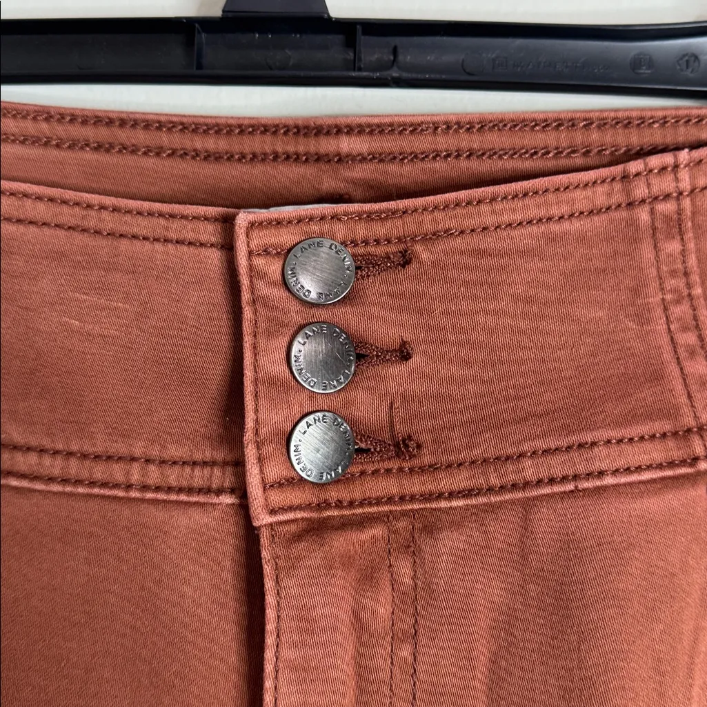 Lane Bryant Ultra Hi-Rise Flex Magic Waistband Jegging Jeans in Burnt orange 22 - Image 6
