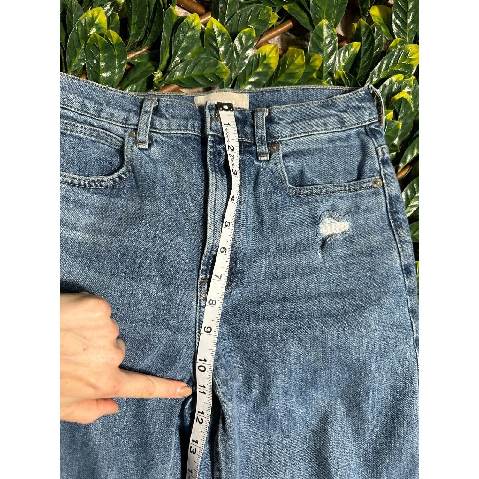 Everlane The Way High Jean Size 25 - Image 11