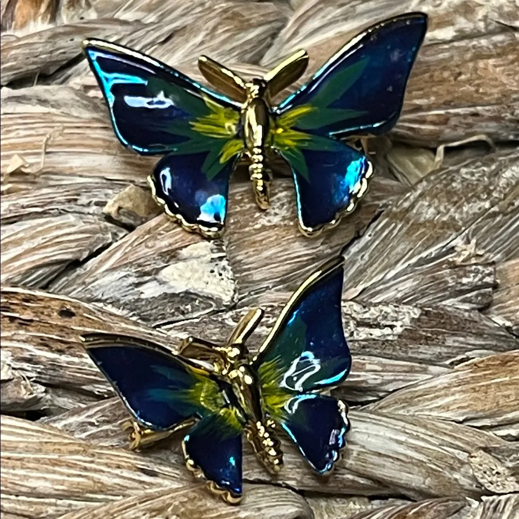 Blue and Green Butterfly Brooch Set - Image 2