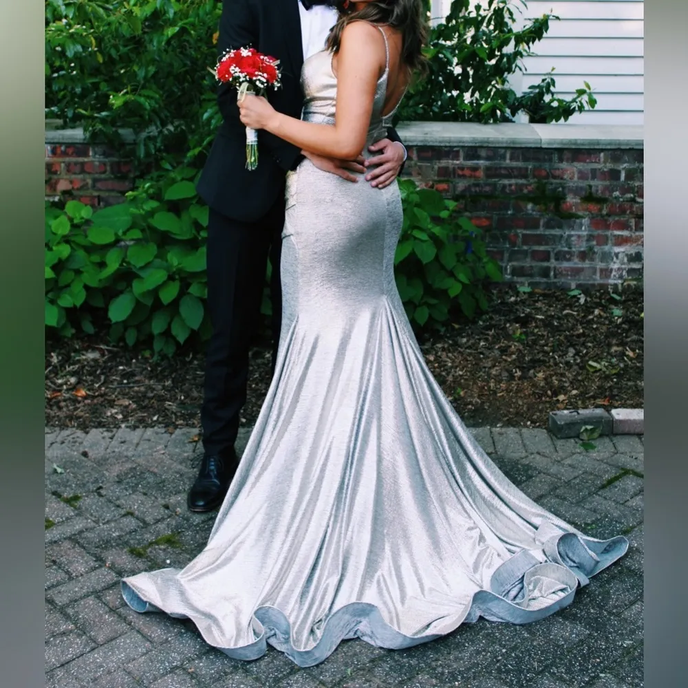 Jovani Silver/Goldish Dress with long, beautiful train - Image 4
