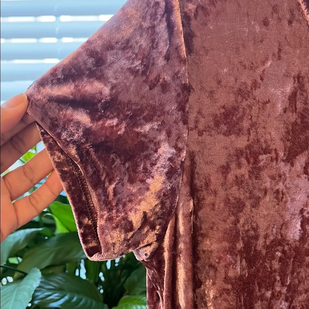 Say What? Burgundy Velvet Round Neck Short Sleeve above knee dress - Image 6