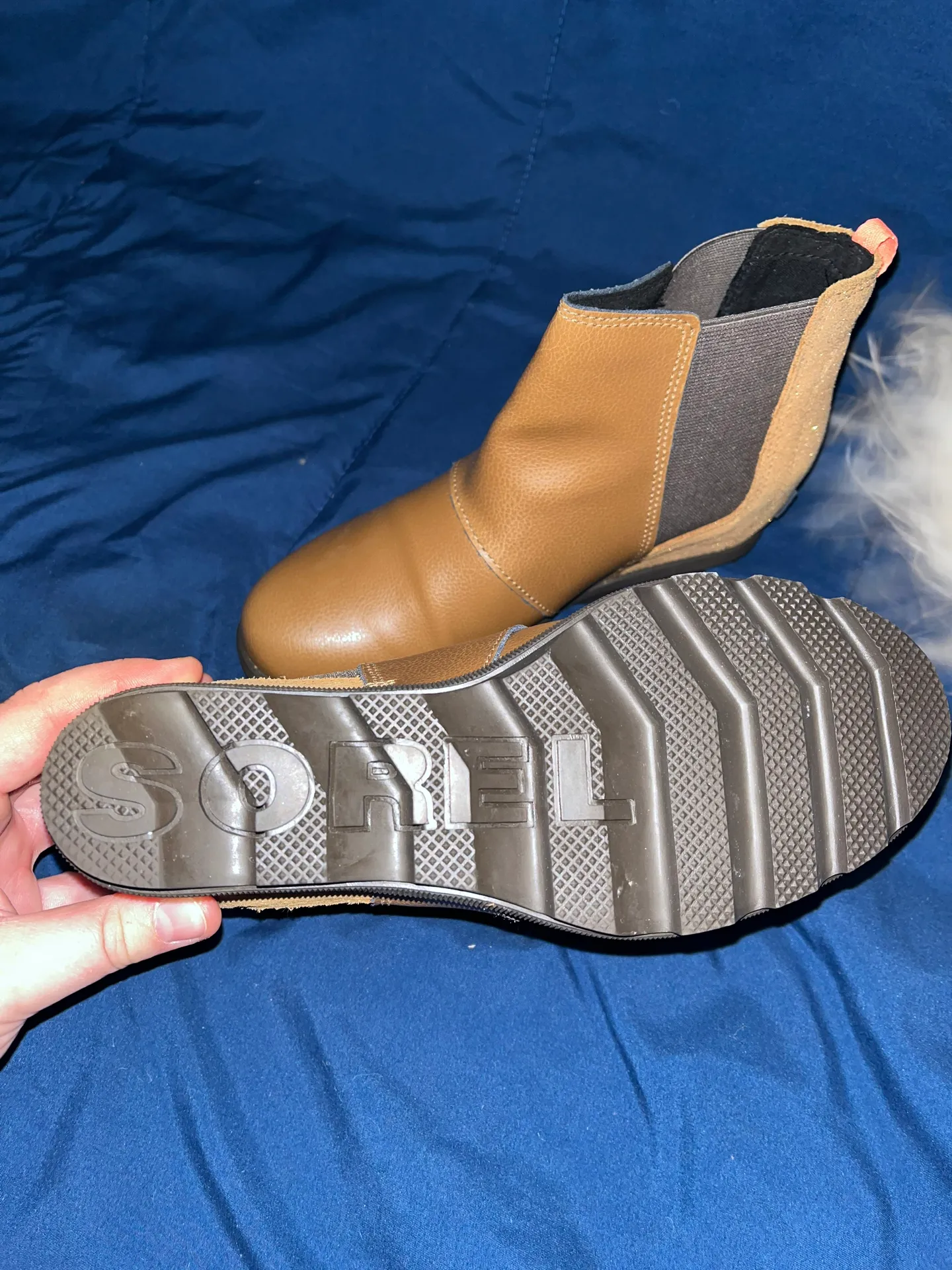 Sorel Booties - New In Box - Image 3